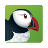 icon Puffin Cloud Browser(Puffin-webbrowser) 9.10.2.51584