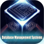 icon Database Management Systems(Databasebeheersystemen)