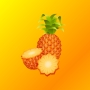 icon PineappleMeet(Pineapple
)