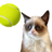 icon Tennis Cat(Cat Tennis: Battle Meme) 1.0.6