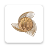 icon EthioDirect(EthioDirect
) 3.2.5