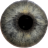 icon Eye Diagnosis(Oogdiagnose) 1.4.3