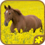 icon Horse Puzzles Free(Paard Legpuzzels HD)