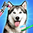 icon DogGames:PetVetDoctorCare(Hondenspellen: Dierenarts Dokterzorg) 1.3