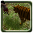 icon Jungle kid adventure Run(Jungle Hero Adventure Run) 1.3