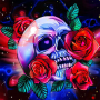 icon Skull Coloring Book Color Game