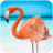 icon The Flamingo(The Flamingo
) 1.0.8