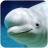 icon The Beluga Whale(The Beluga Whale
) 1.0.9