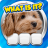 icon Flags Quiz(Vlaggenquiz - Raad de vlag) 2.0.1