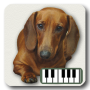 icon Piano of dogs(Piano van honden)