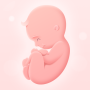 icon My Pregnancy - Baby Tracker (Mijn Zwangerschap - Baby Tracker)