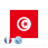 icon org.kiwix.kiwixcustomtunisie(Encyclopedie van Tunesië) 2016-10
