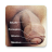 icon Human penis(Menselijke penis: educatieve app
) 1.1