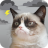 icon Grumpy Weather(Grumpy Cat Weather) 5.8.9