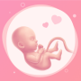 icon Pregnancy(Zwangerschapstracker week per week)