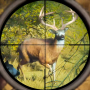 icon Jungle Hunting(wilde dieren Gun
)