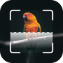 icon Bird Identify(Vogel identificatie: Foto vogel identificatie app
)