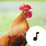 icon Rooster Sounds (Rooster Geluiden)