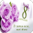 icon com.newandromo.dev1110584.app2000892(Привітання з 8 Березня
) 1.0.0