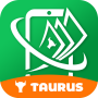 icon Taurus(Stier: werk slim)