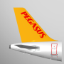 icon Pegasus: Cheap Flight Tickets (Pegasus: Goedkope vliegtickets)