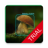 icon com.gabotechindustries.mushroomIdentifier(Mushroom Identifier - detectie en classificatie
) 1.15