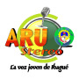 icon ARU Stereo(ARU Stereo
)
