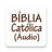 icon com.biblia_catolica_audio_portugues.biblia_catolica_audio_portugues(Bekijk de bron) 310.0.0