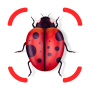 icon Insect ID(Insectidentificatie - identiteit)