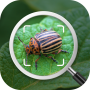 icon Insect Identifier(Identificatie van insecten: Bug-identificatie - Bugzoeker
)