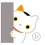 icon Animated Cats Stickers(Geanimeerde 3D Katten Stickers Gif
)