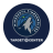 icon Timberwolves(Minnesota Timberwolves) 6.1.9