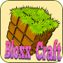 icon BloxxCraft(Bloxx Craft Girl
)