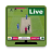 icon Cricket Live Tv(Cricket Live Tv Sport
) 4.1.0