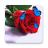 icon WishBox(Goedemorgenbeelden, verjaardag) 1.12.4
