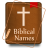 icon Bible Names(Bijbelse namen met betekenis) 3.0
