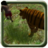 icon Jungle kid adventure Run(Jungle Hero Adventure Run) 1.8