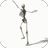 icon Dancing Skeleton Video LWP(Dansend skelet Videothema's) 4.0