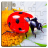 icon Insect Puzzles(Insect Jigsaw Puzzle Game Kids) 29.0