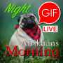 icon GIF Afrikaans Morning & Night(Afrikaans Morning Night Gifs
)