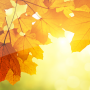 icon Wallpapers Autumn(Herfst achtergronden)