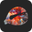 icon 1.4.17