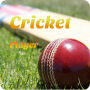 icon net.appozuri.crickvideoplayer(Crick Player - Bekijk Cricket HD-video's
)