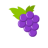 icon Catcher Grapes(Verzamel druiven) 1.04