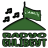 icon Radyo Ehlibeyt(Radyo Ehlibeyt
) 1.9