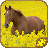 icon Horse Puzzles Free(Paard Legpuzzels HD) 2.14