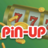 icon com.online.pinupfortune(Pin Up Фортуна) 0.1