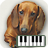 icon Piano of dogs(Piano van honden) 1.0.2