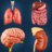 icon Organs Anatomy(My Organs Anatomy) 2.1