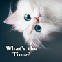 icon jp.co.a_tm.android.plus_whats_the_time(Schattig Thema Hoe laat is het?)